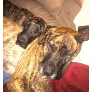 Meet your Posher, Katy